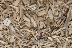 biomass boilers Lower Carden
